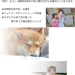 犬や猫の支援