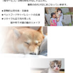 犬や猫の支援