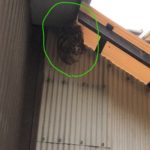 InkedS__105553923_LI
